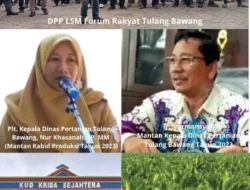 Replanting Sawit di Penawartama, diduga Rugikan Negara Hingga Milyaran Rupiah