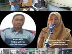 Soal Replanting Sawit 30 Miliar, Pejabat Dispertan Tuba Diduga Takut di Periksa